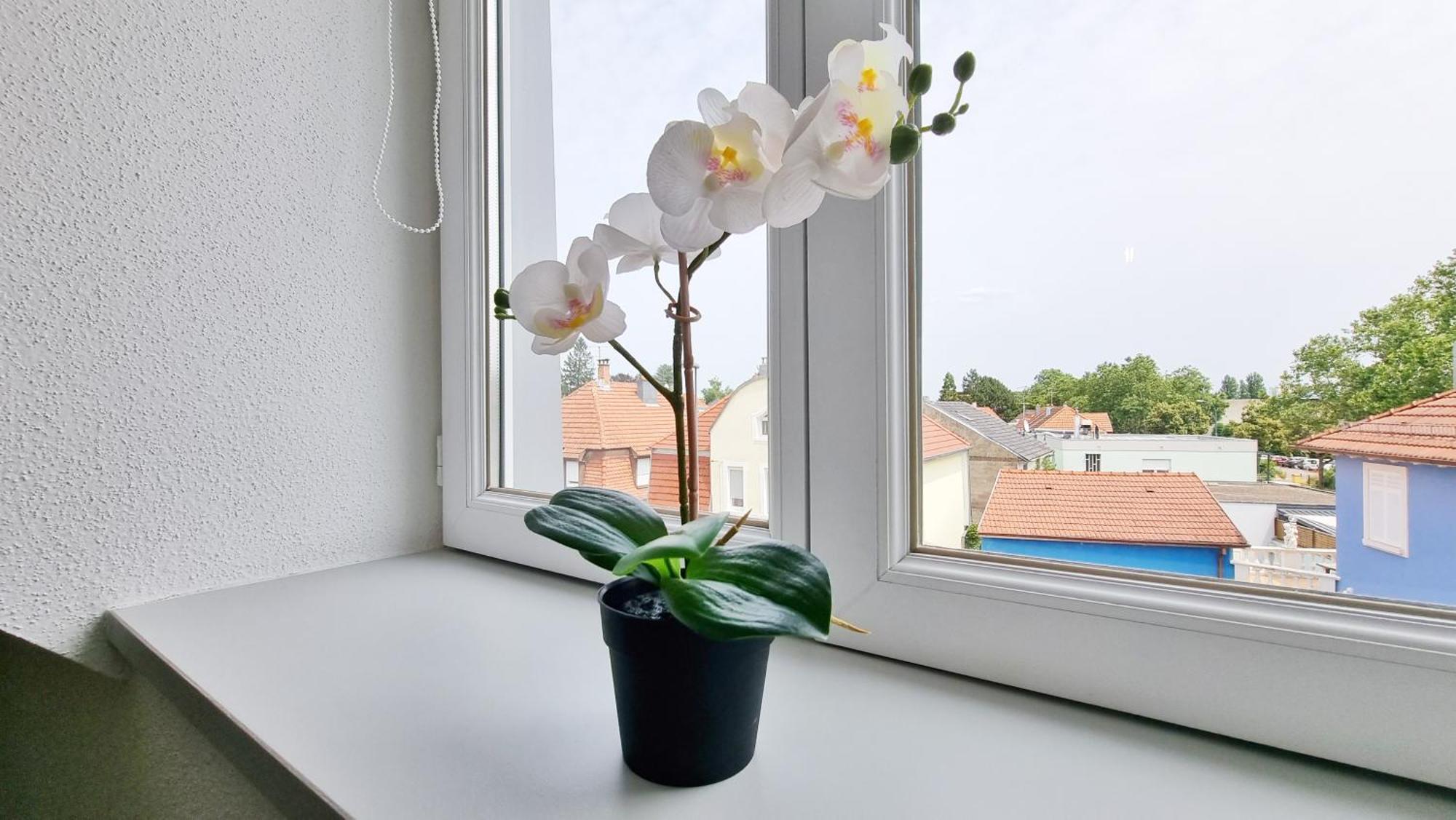 Le Triplex - 5 Chambres - 10 Pers- Fibre - Relax Bnb Mulhouse Exterior photo
